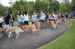 100 dogs help fulfill 13-year-old cancer patient's birthday wish - 4