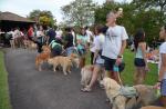 100 dogs help fulfill 13-year-old cancer patient's birthday wish - 5