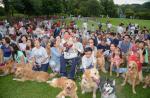 100 dogs help fulfill 13-year-old cancer patient's birthday wish - 10