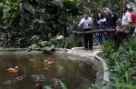 7 things every visitor must see in Jurong Bird Park - 4