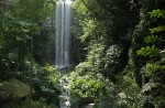 Waterfall Aviary at Jurong Bird Park re-opens - 2