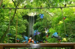 Waterfall Aviary at Jurong Bird Park re-opens - 1