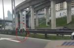 Ostrich sprints down Malaysian Highway - 8