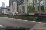 Ostrich sprints down Malaysian Highway - 9