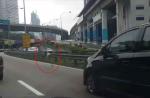 Ostrich sprints down Malaysian Highway - 11