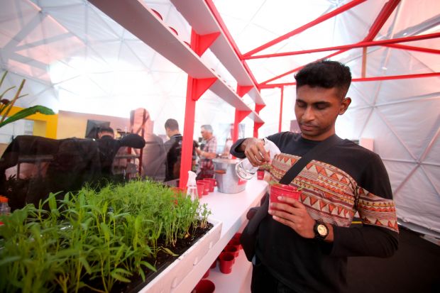 The soil under the surface layer can be introduced to a greenhouse