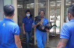 SPCA's big move - 1