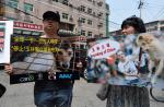 China's dog meat festival growing leaner - 6