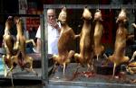 China's dog meat festival growing leaner - 7