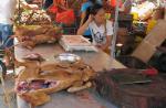 China's dog meat festival growing leaner - 13