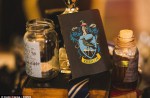 Harry Potter themed wedding looks spellbinding - 9