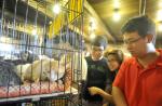 New Code of Animal Welfare to come into effect from October - 10