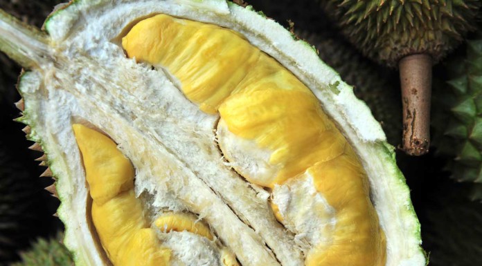 Durian supplies in Singapore and Malaysia fall as demand skyrockets in China