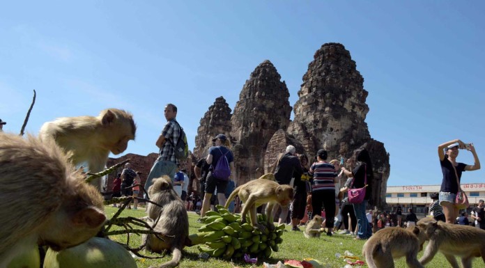 I wanna eat like you-oo-oo: Thai town lays on monkey banquet