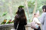 7 things every visitor must see in Jurong Bird Park - 0