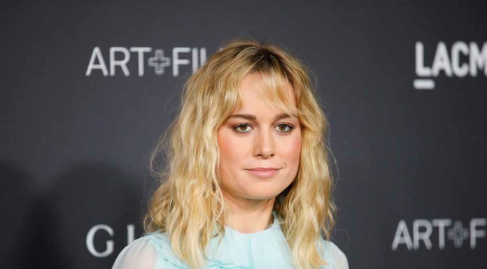 Samuel L Jackson joins Brie Larson's directorial debut