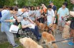 100 dogs help fulfill 13-year-old cancer patient's birthday wish - 0