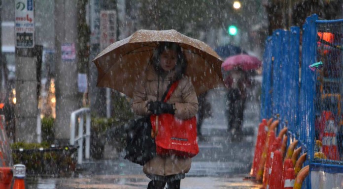 Tokyo hit by first November snow in 54 years