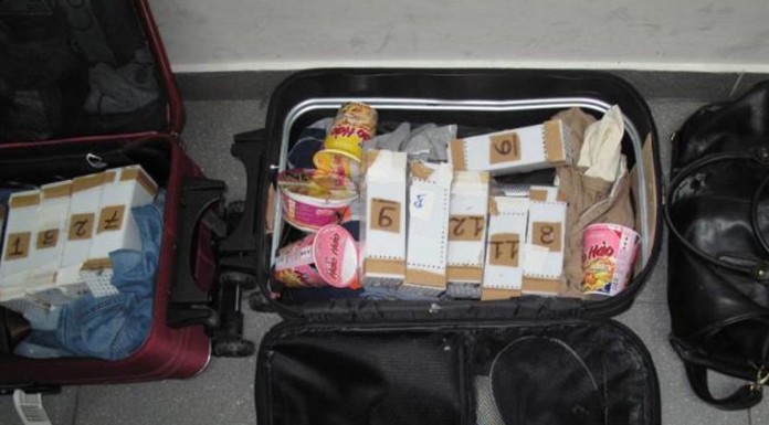 2 Vietnamese men jailed 6 months for smuggling songbirds, animal cruelty