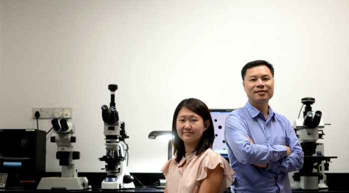 Duo whip up recipe for bulletproof ceramic windows