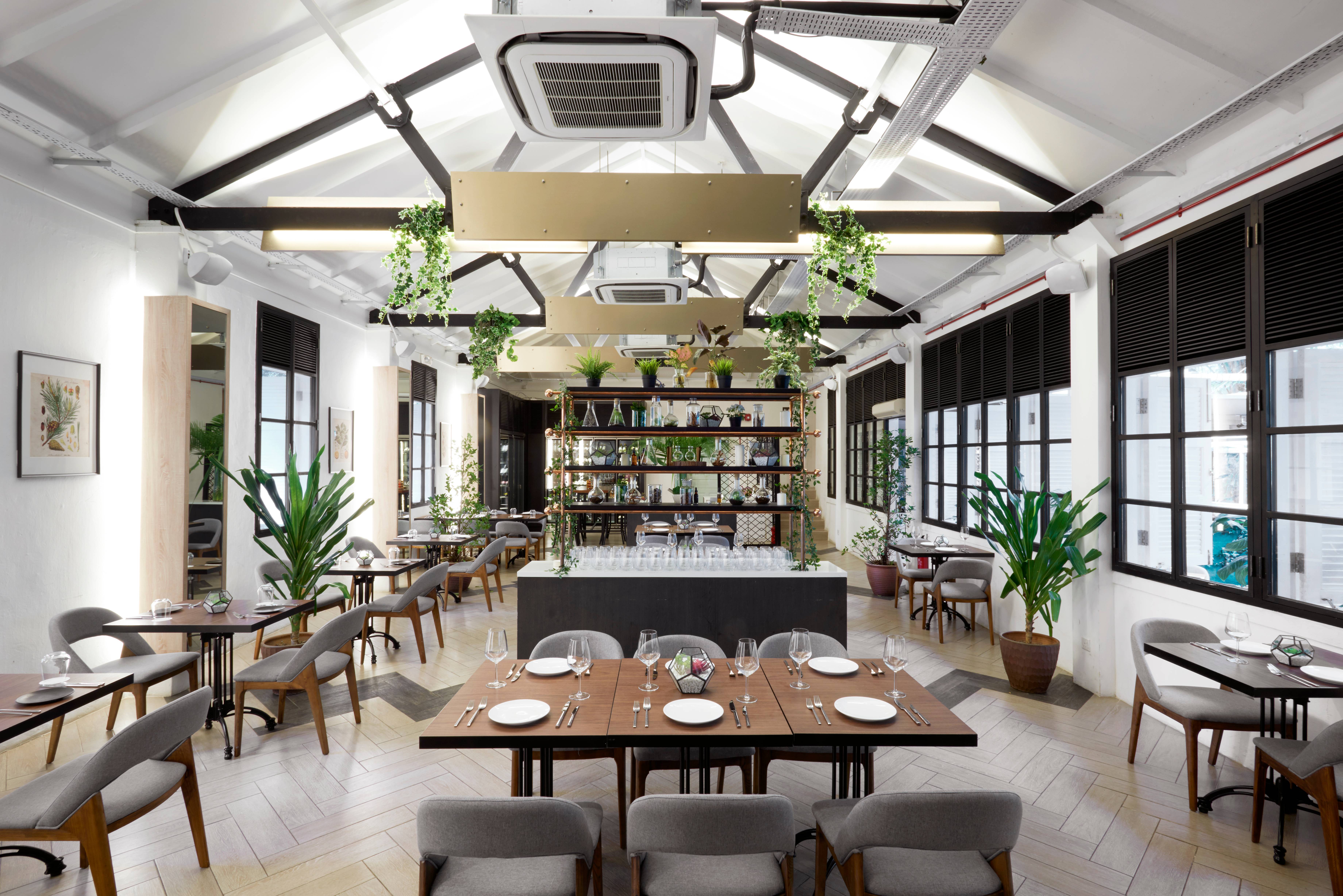 Kitchen stories female head chef sujatha asokan Botanico