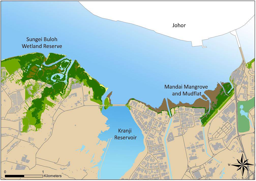 Overview of wetland habitats graphic