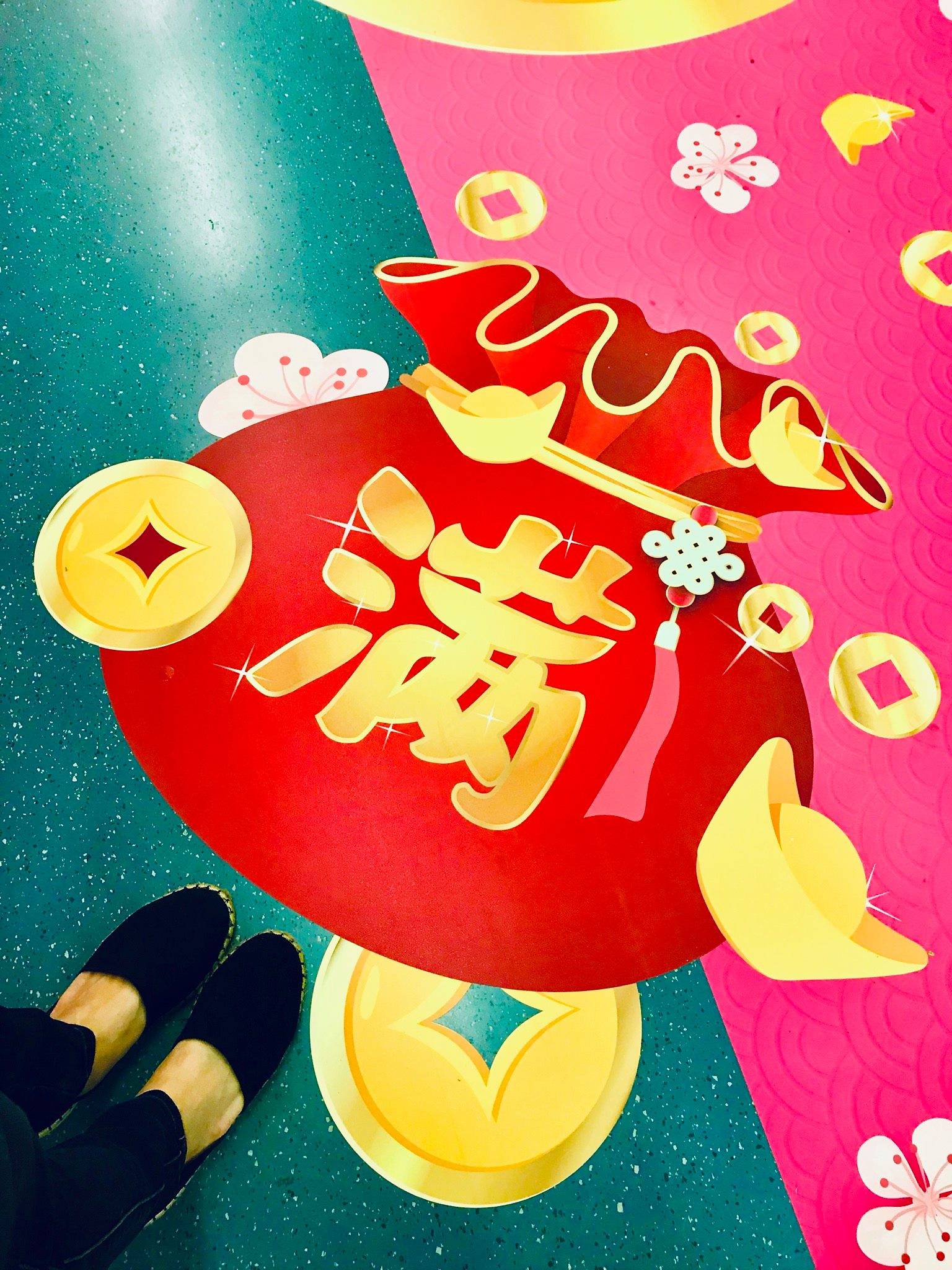 LTA CNY train 2019 floor