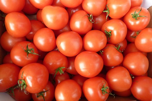 La Tomatina tomato throwing photos and details