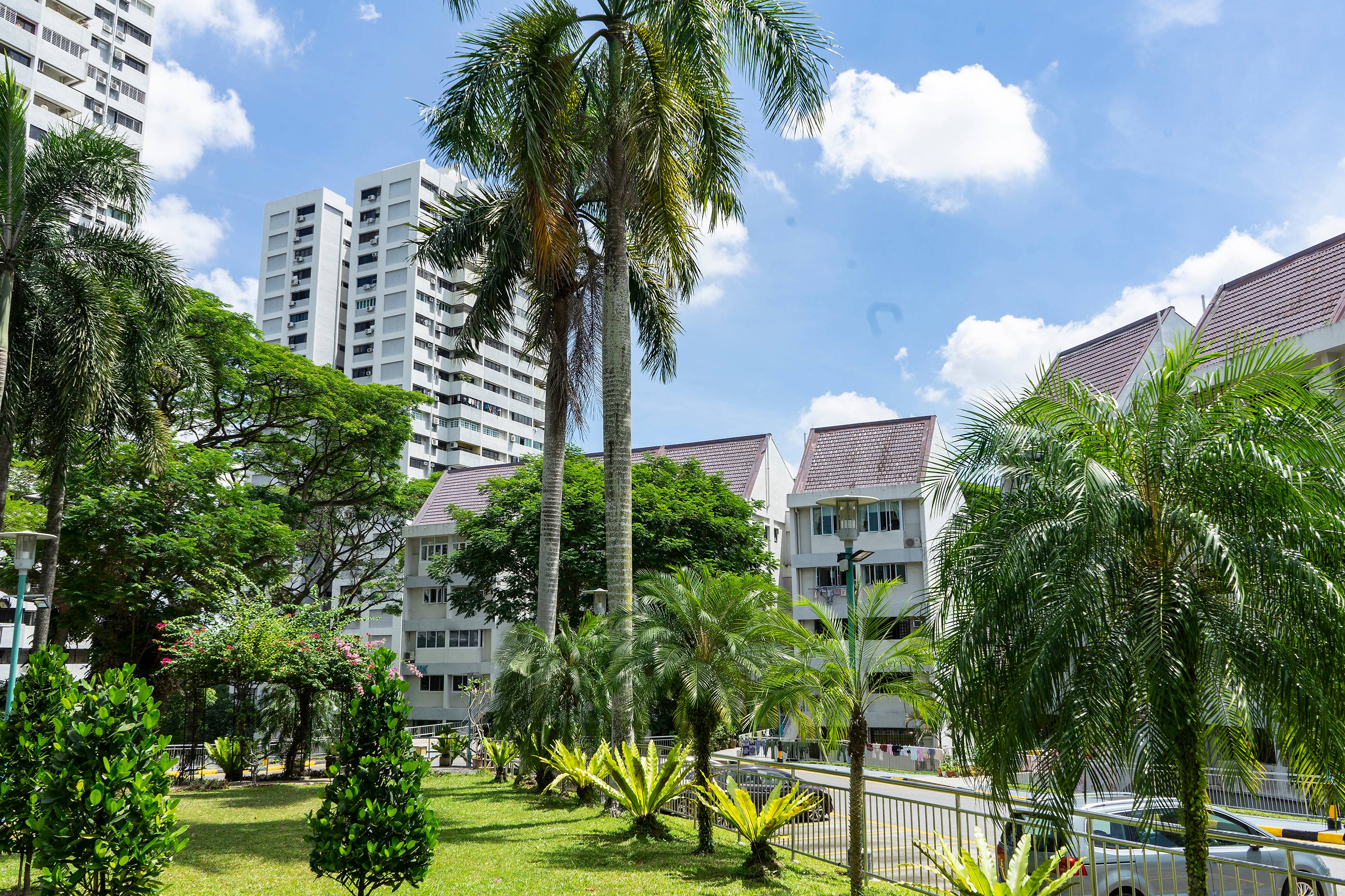 Braddell view 2 ground
