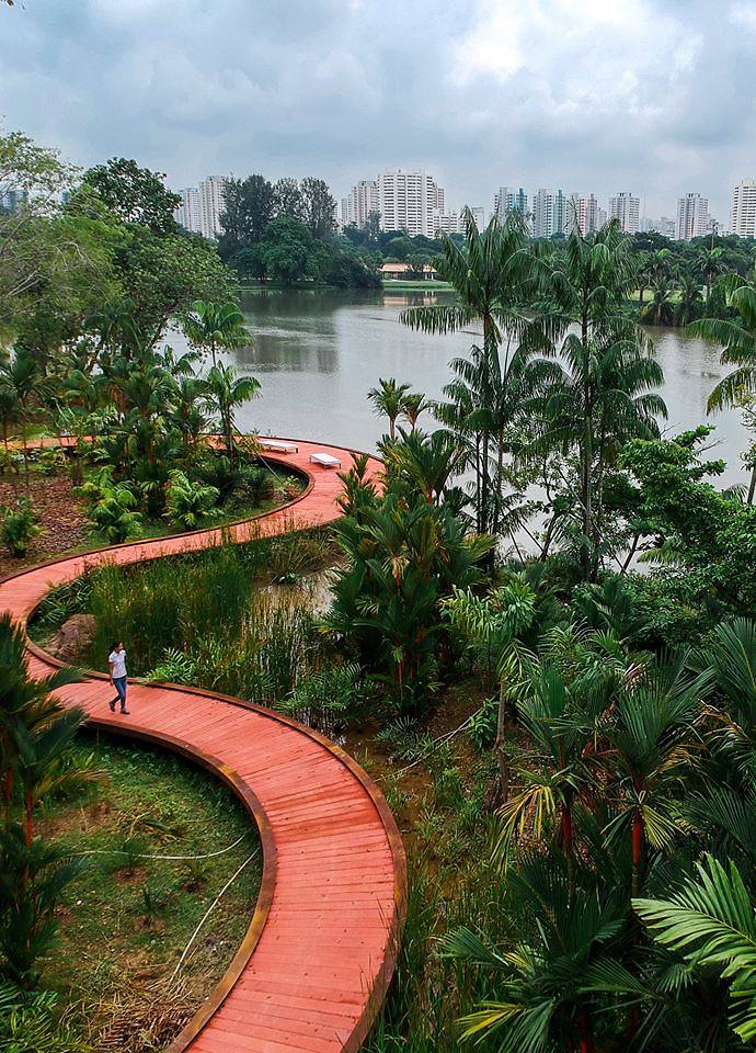 lakeside garden