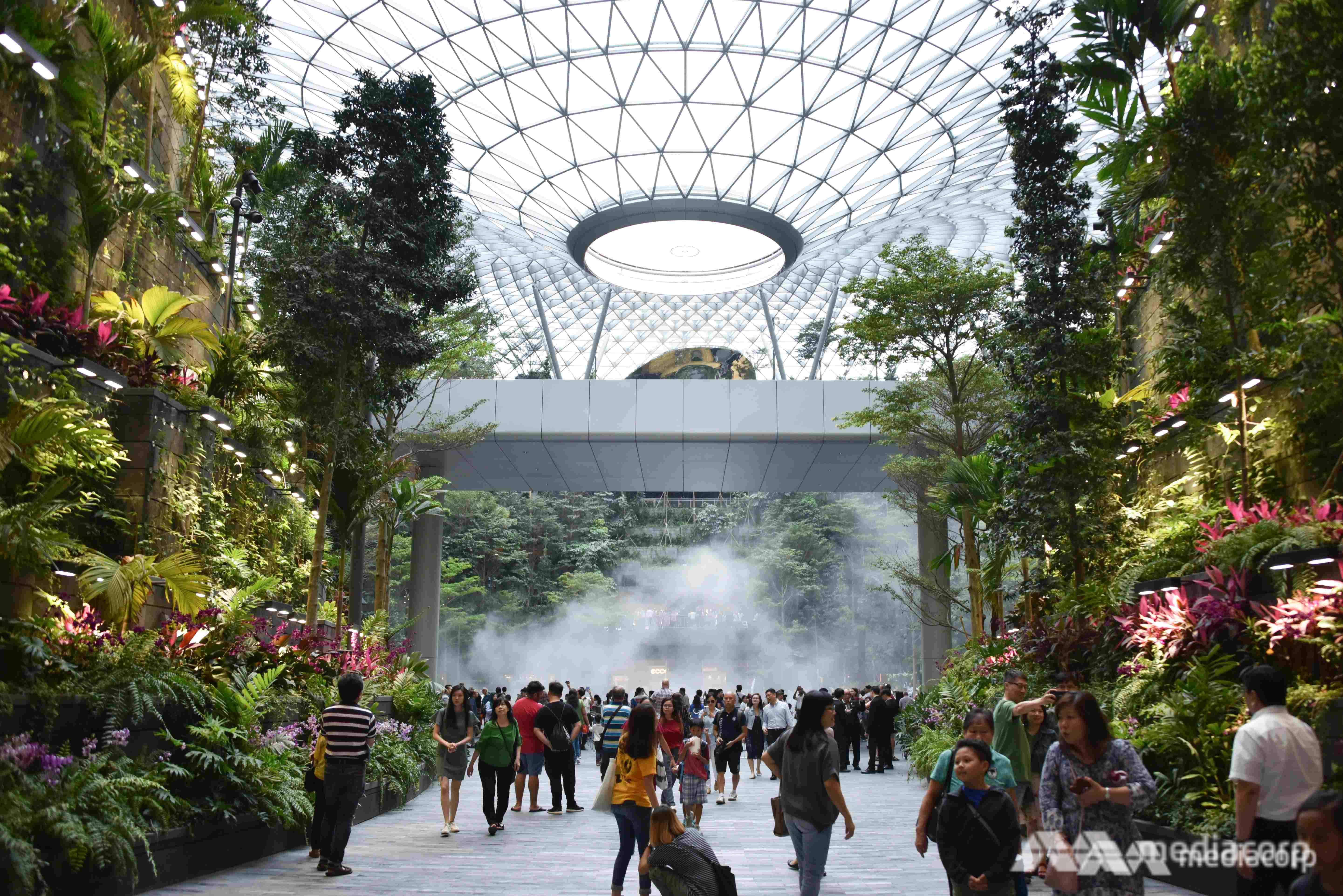 Creating A ‘mythical Garden’ Was Inspiration Behind Changi Airport’s ...