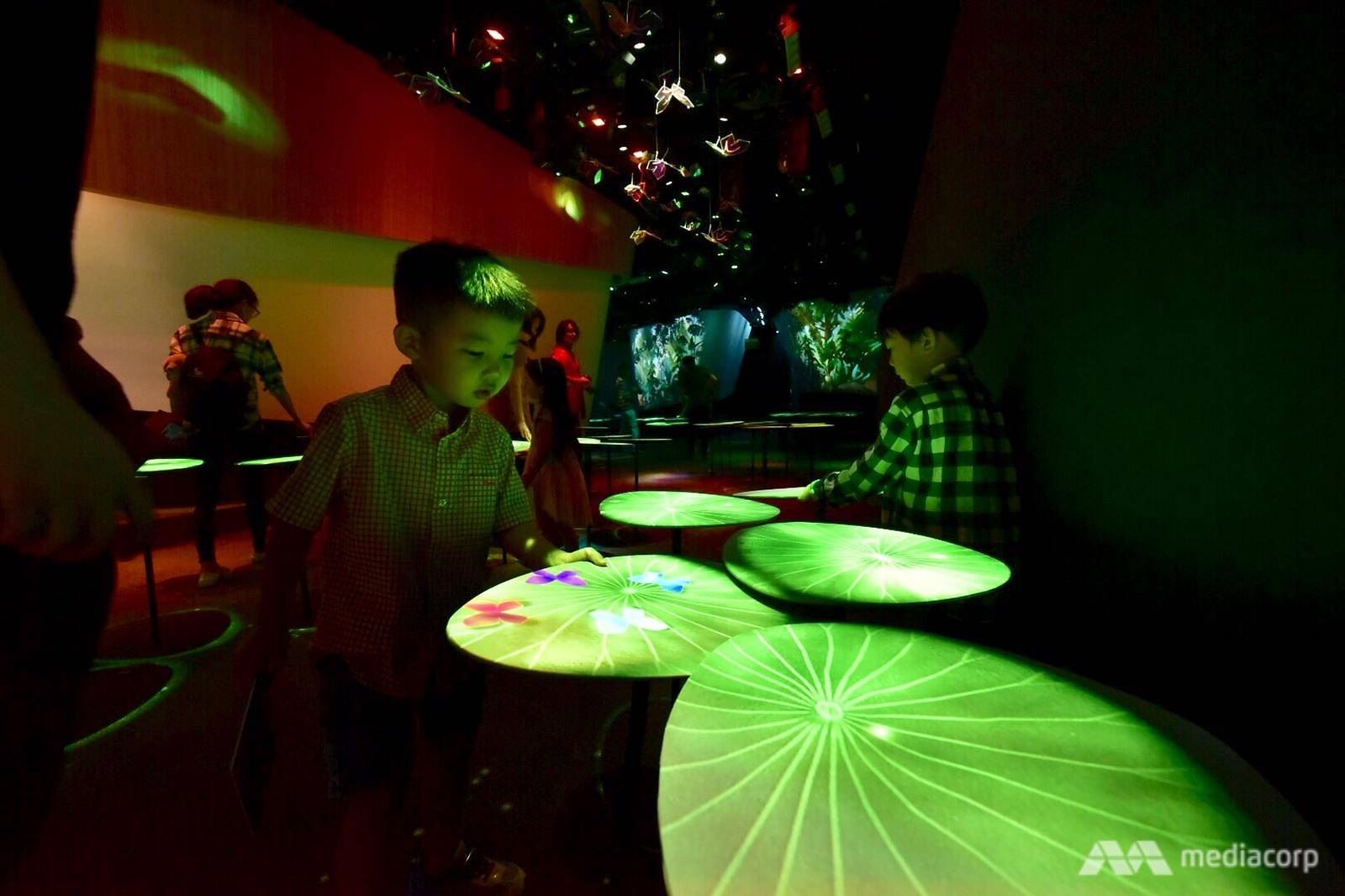 Jewel Changi Airport Changi Experience Studio - Garden of Harmony (2)
