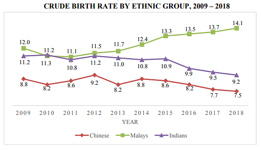 Birth rate by ethnic group