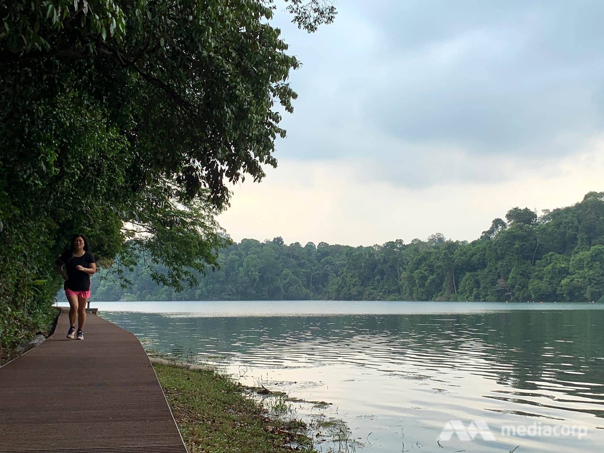 reservoir, jogger, singapore - file photo