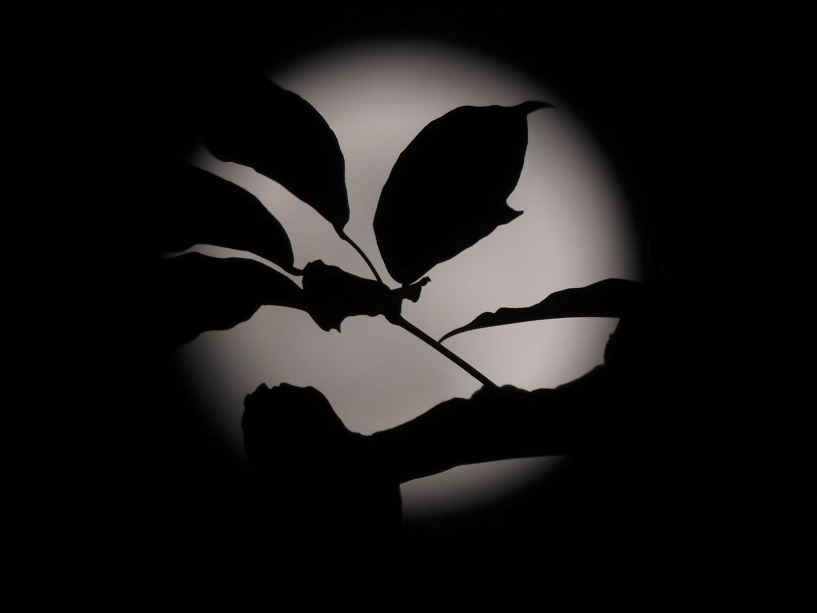 Harvest Moon seen over Singapore on Sep 13