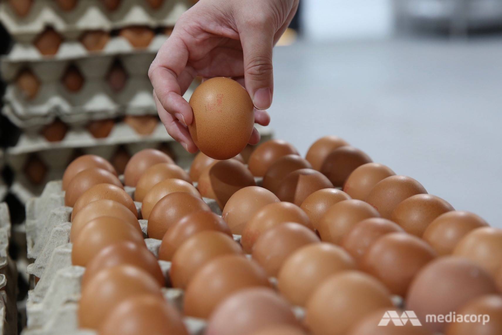 The Big Read: Singapore has been buttressing its food security for decades (1)