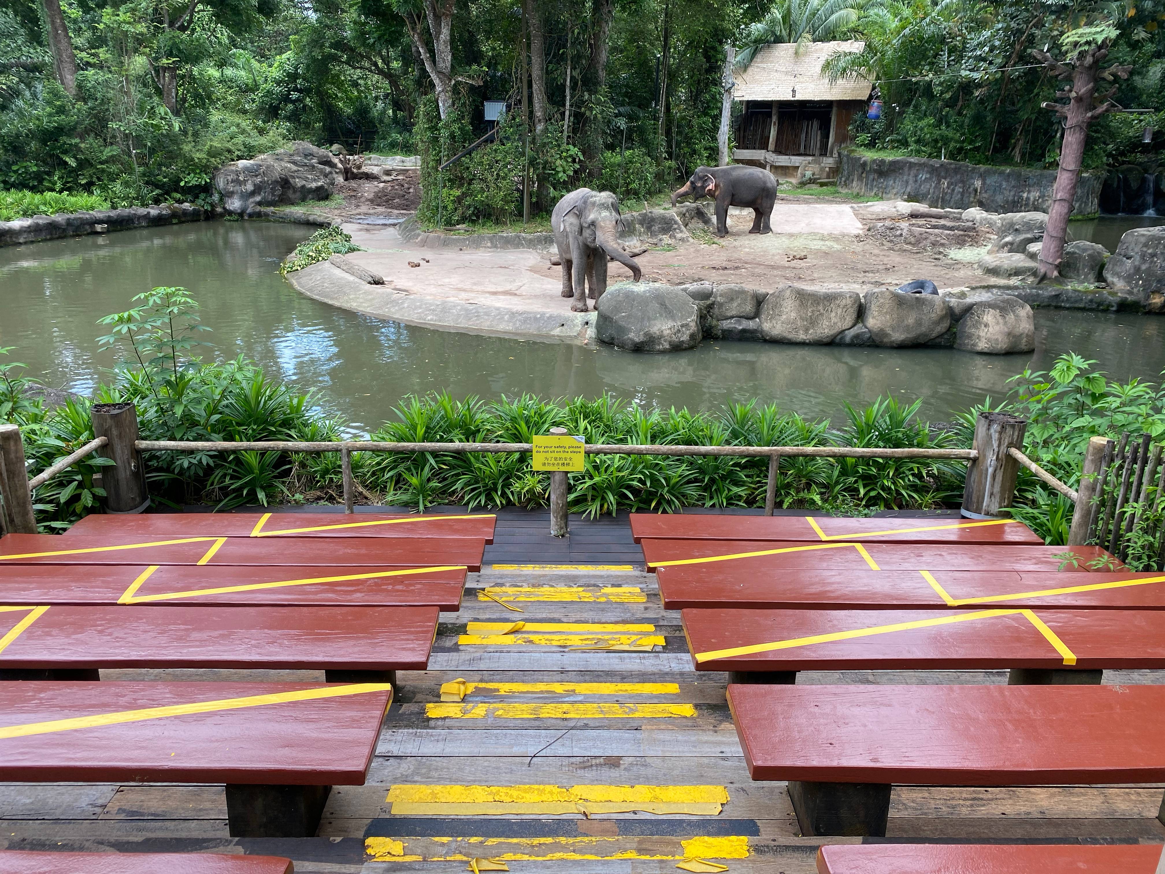 Safe distancing Singapore Zoo