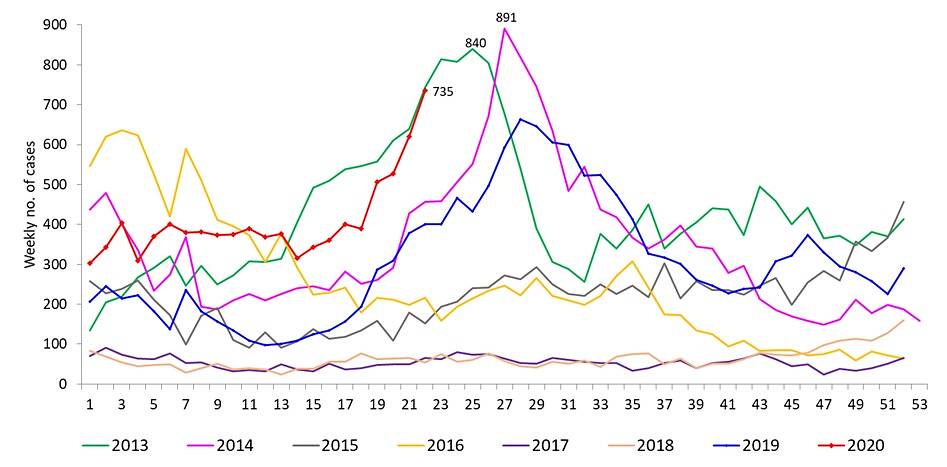 Dengue cases in 2013 to Jun 3, 2020